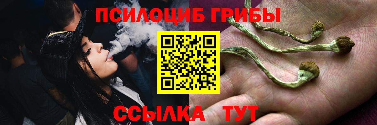 даркнет сайт  Псилоцибиновые грибы Cubensis  Вход с VPN  Чусовой  Псилоцибиновые грибы Magic Shrooms 